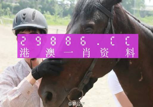 热点 第942页