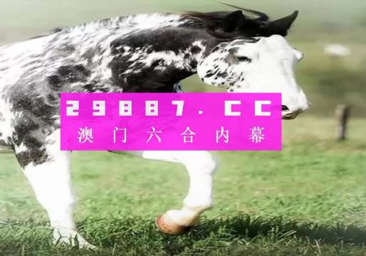 澳门和香港精准一肖一码一一中,精选解释解析落实|最佳精选