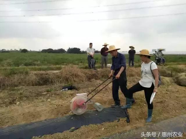 广东省环保工程有哪些广东省环保工程概览