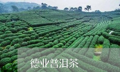 广东德益茶业有限公司广东德益茶业有限公司，传承茶文化，铸就卓越品质