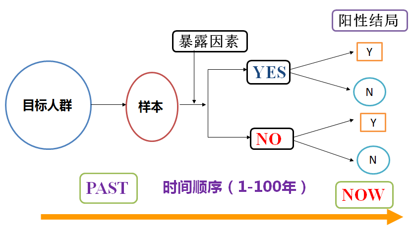 广东省口腔正畸骨性广东省口腔正畸骨性研究与临床实践