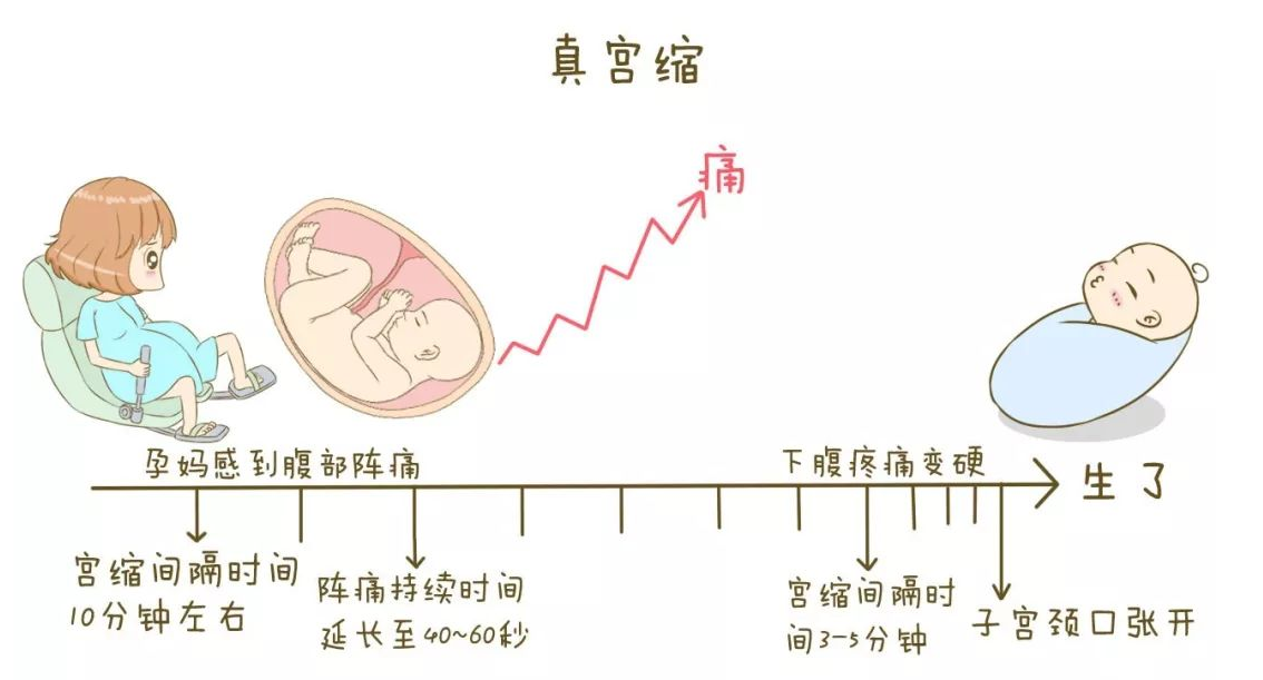 32周是几个月揭秘时间流转的秘密，32周究竟等于几个月？