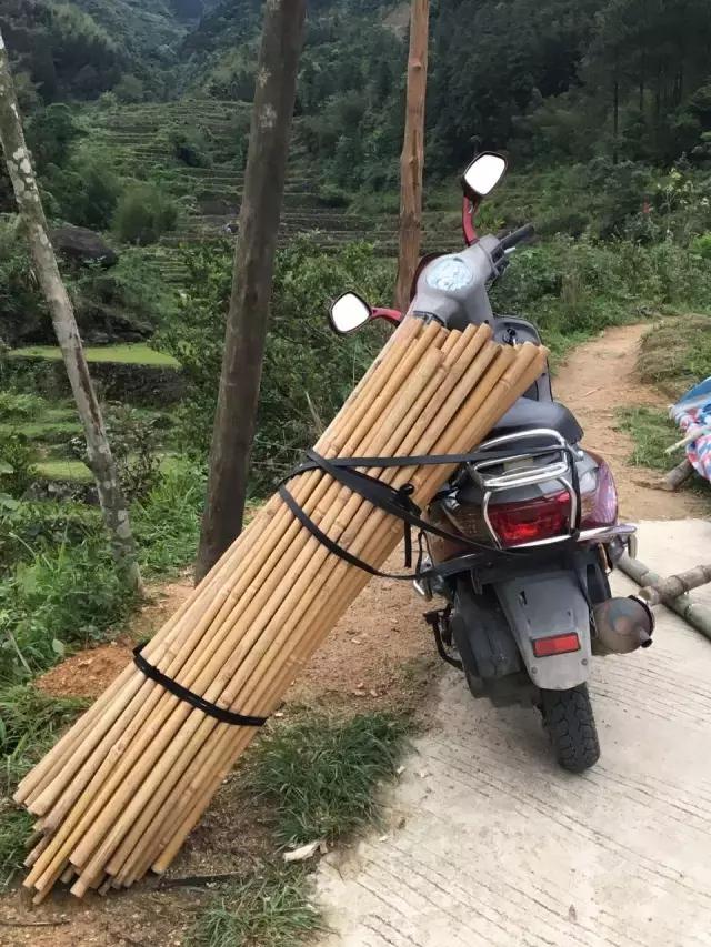 广东省的大草原广东省的大草原，自然之美与人文之韵的交融