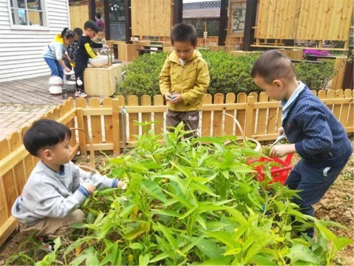 广东省一级幼儿园名单广东省一级幼儿园名单及其教育质量探究