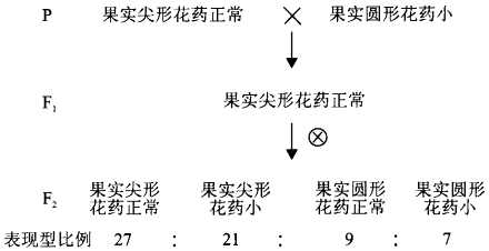 hcg两个月HCG两个月，揭示孕早期关键指标的重要性与变化